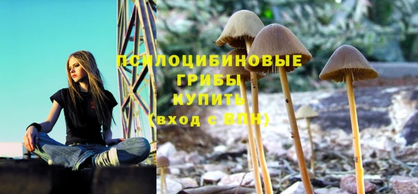 кокс Абинск