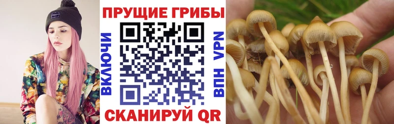 Псилоцибиновые грибы ЛСД  Фёдоровский 